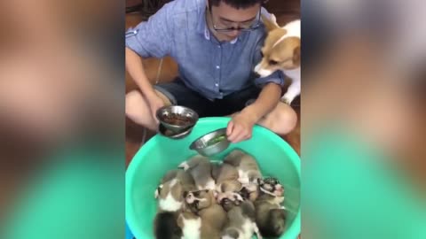 Totally random funny videos BEST FAILS_1080p