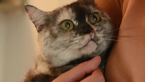 Woman Cuddling Her Cat