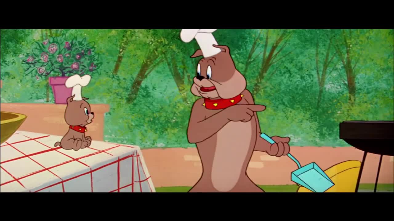 Tom & Jerry Cartoon