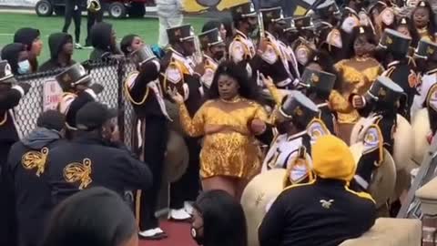 Several black beauties have the same body