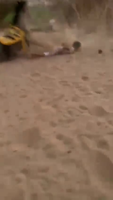 funny|prank|jokes|funny jokes|dad jokes|funny memes|funny video|fun|laughing|funny animal|knock