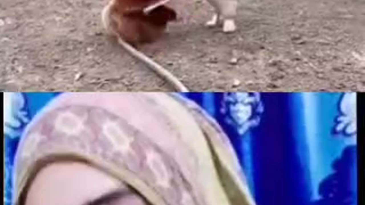 Both of them raped a person / দুজনে মিলে এক জন কে রেপ করে দিল