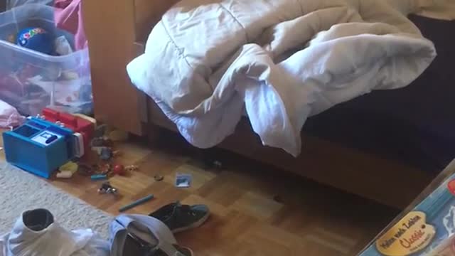 Brown spotted dog runs from under cover to pee