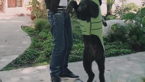 A Woman Training her Pet