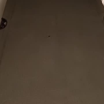 Bought the Wrong Cot