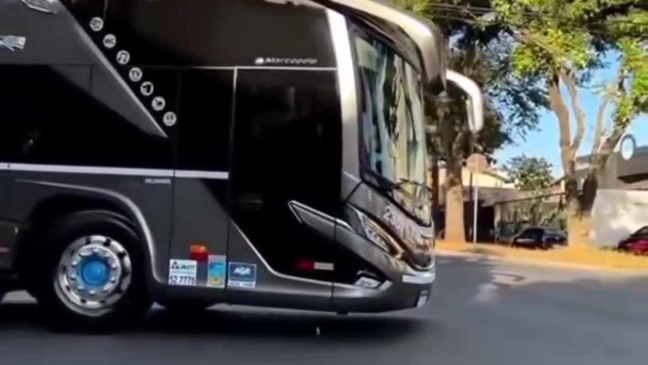 Bus lover