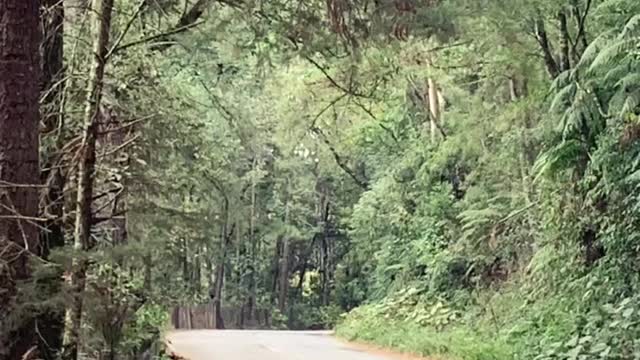 Caxias do Sul, Rio Grande do Sul.