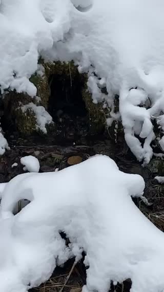 Mountain spring. Yummy