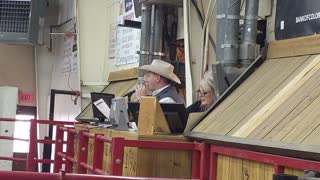 Hay auction under way Livestock Exchange Brush, CO