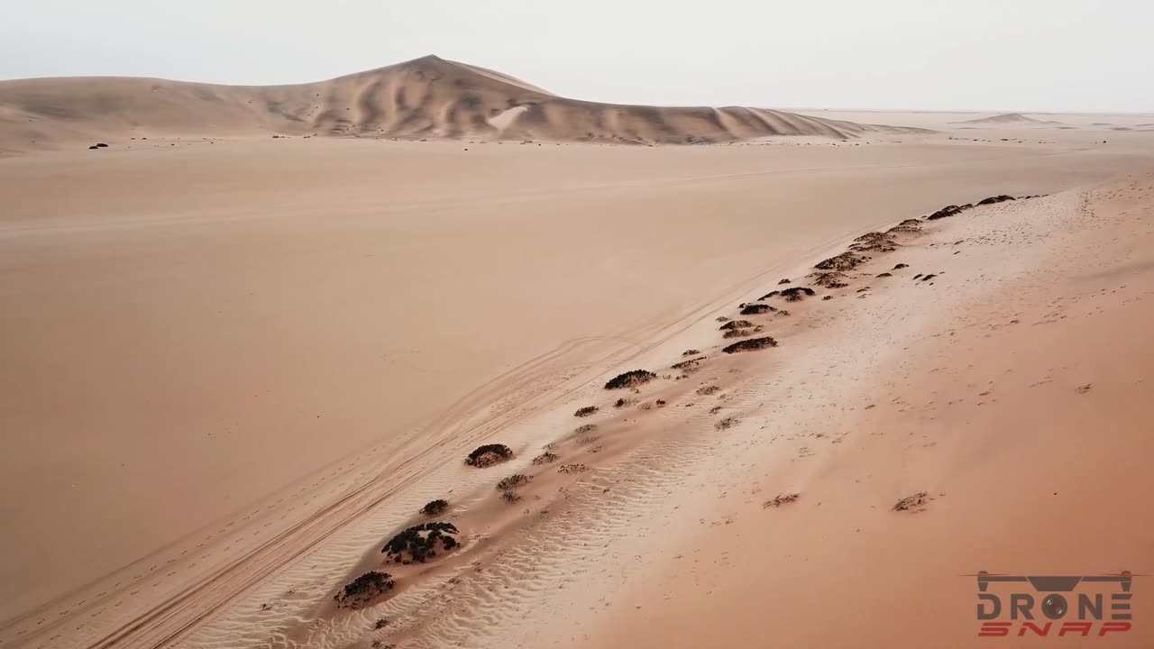 Namib Desert