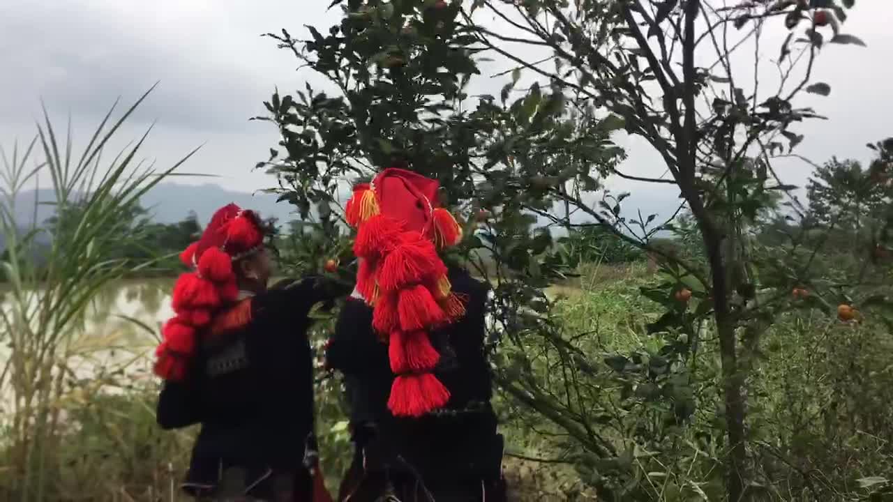 When the women disrupt