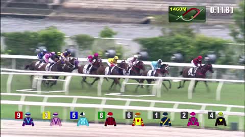 Horse_Race_2022061208_English