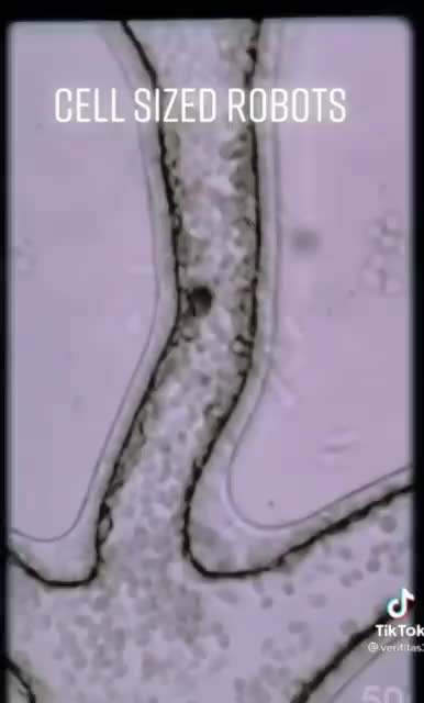 Cell sized robots‼️Also found in the new covid vaccines
