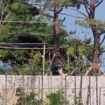 22.7.1. #도공스님 문재인 체포투쟁..