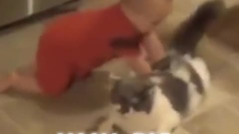 The kid washes the floor with a cat