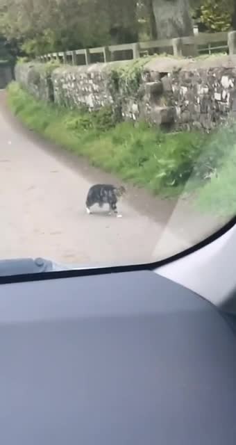 Who should catch whom