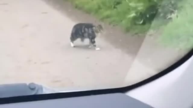 Who should catch whom