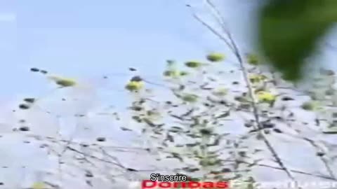 Bombardement de la périphérie de Bakhmut avec MLRS et canon d'artillerie. Occupants est situé à 8