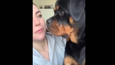 Cute Dog❤️ Kiss prank to the dog #rumble
