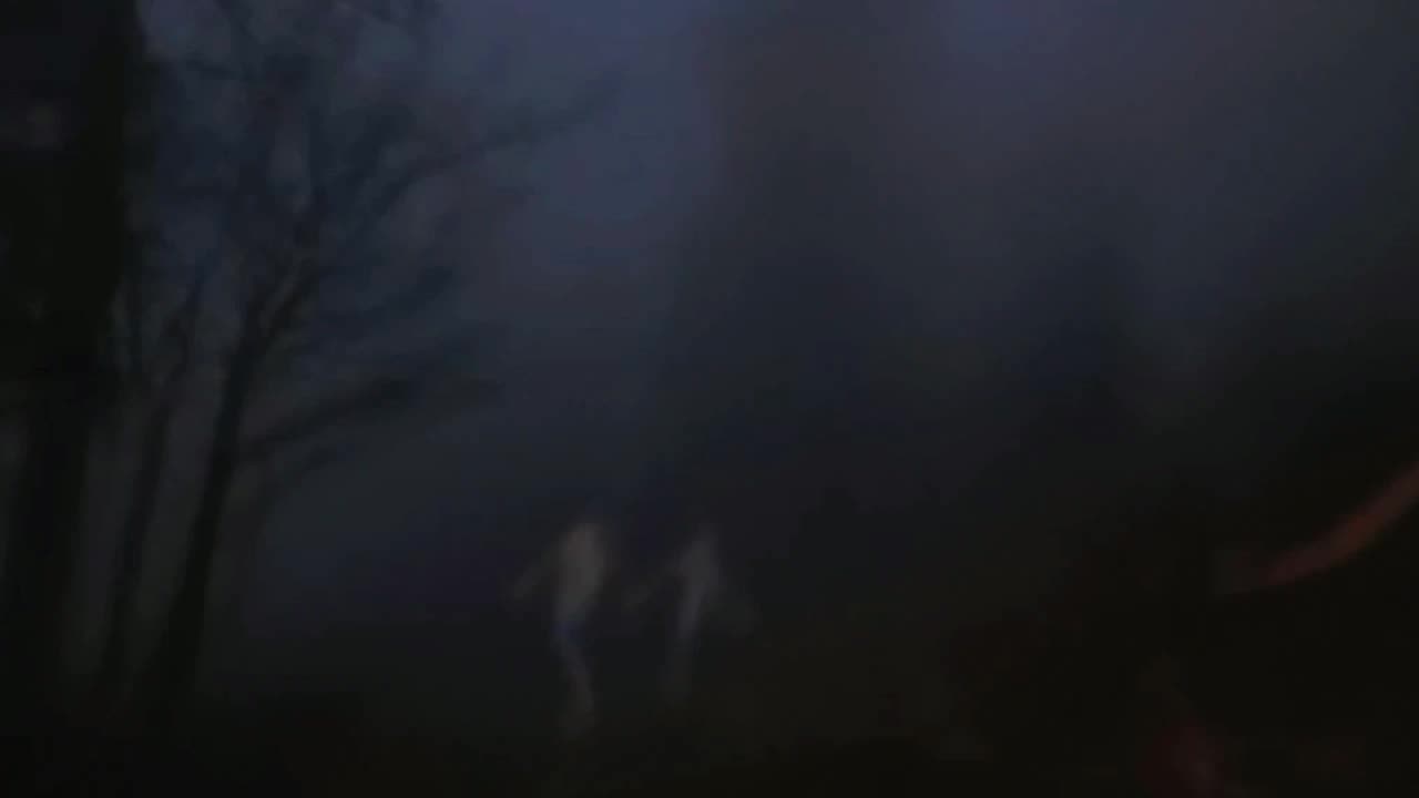 Annihilation In Pieces