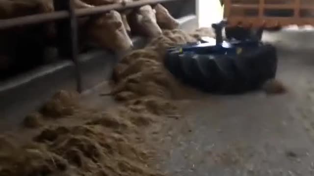 Wonderful use for tire breeding industry