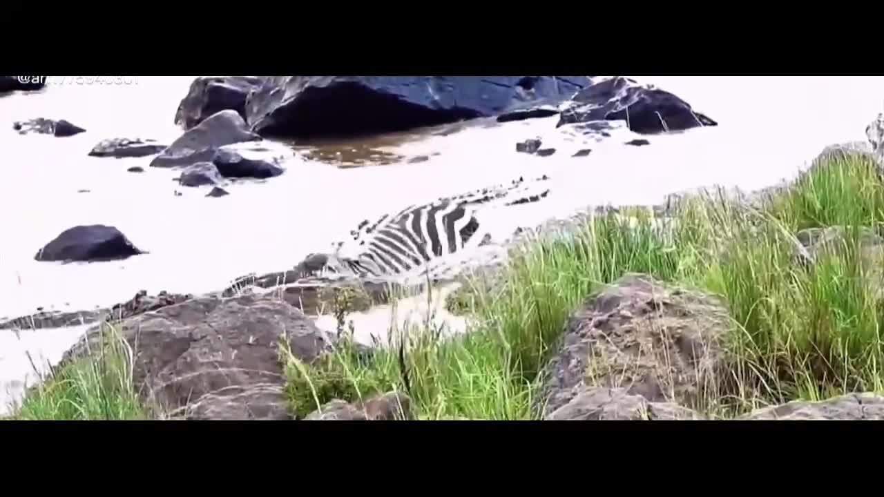 Beautiful nature