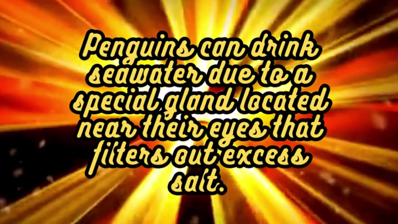 Animal Facts Penguins #shorts