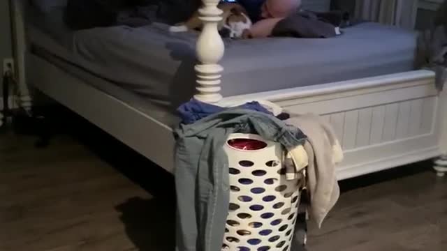 Husband Caught Cuddling Bulldog
