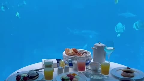 Imagine having breakfast in an underwater suite!