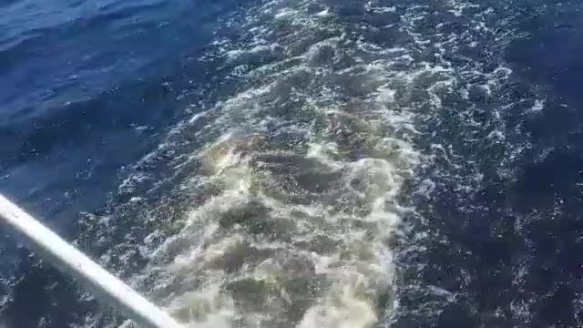 Nice trip on the water