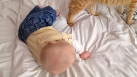 Cat seeing cute babies for first time