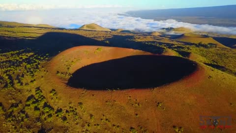 Relaxing Music | Sleeping, Meditation, Stress Relief | [1537] ⭐️