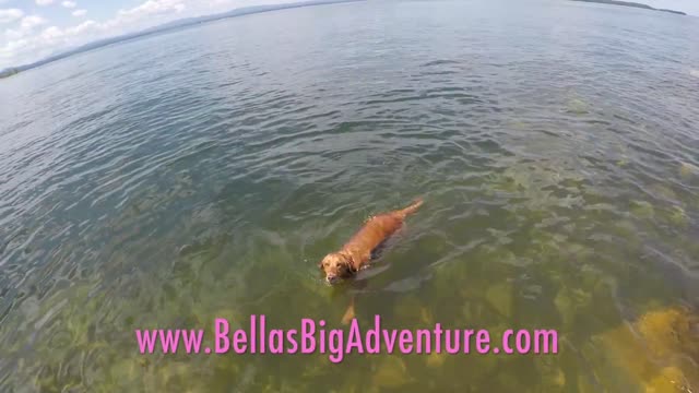 Come Along On Our Adventures!