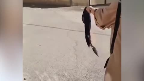 Iranian woman Protest..... 🙌🙌🙌👋👋