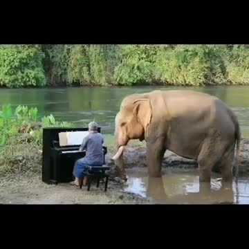 May Existence continue Blessing this Human