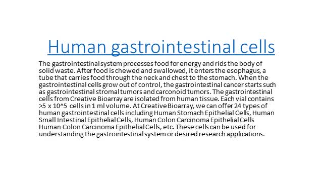 Gastrointestinal Cells