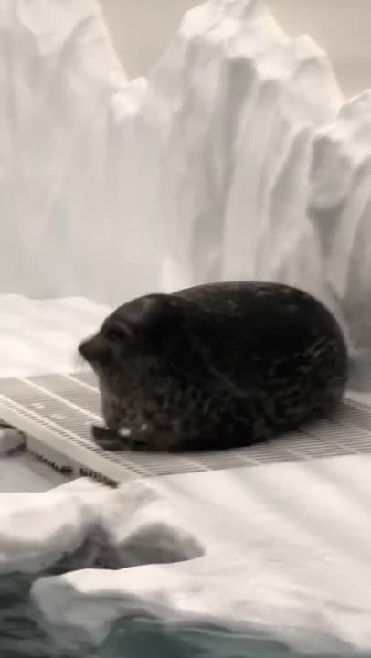 Round and about 😂