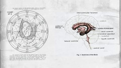 Your Third Eye - Using Breath to Activate