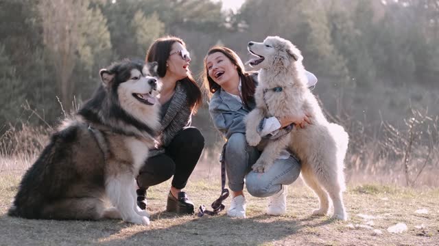 Girls Petting Their Dogs On Ground