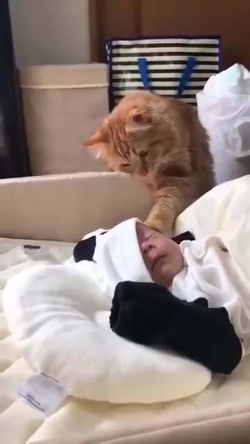 meeting with the new family member