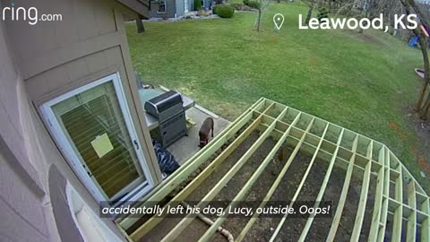 7 year old girl sees a bobcat