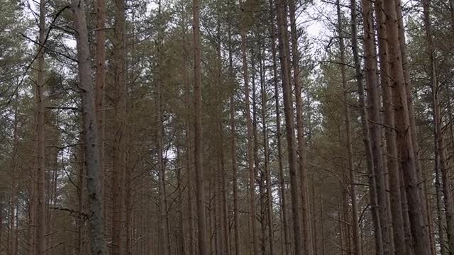 nature footage,nature by drone,sound of nature,aerial nature 4k,sounds of nature