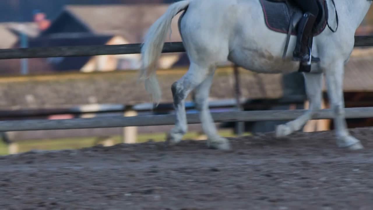 Tracking horse training inside the fence