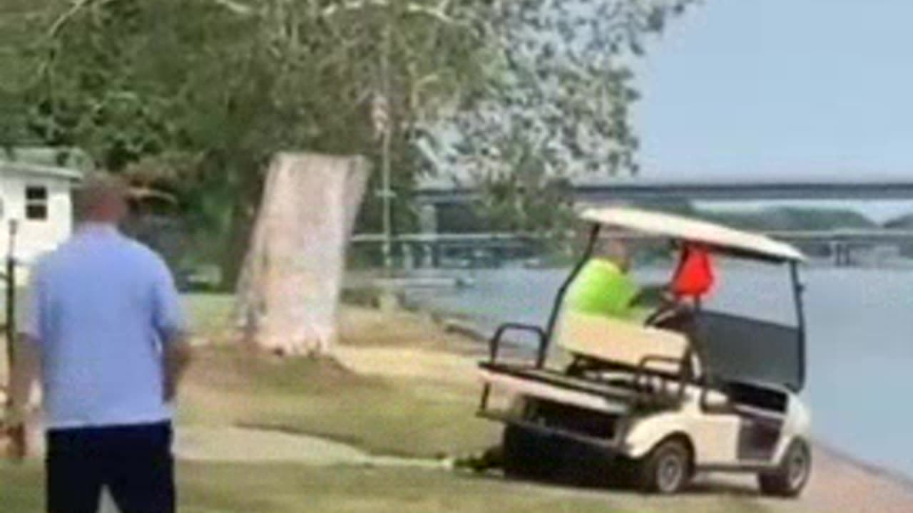 Zombie on the loose?