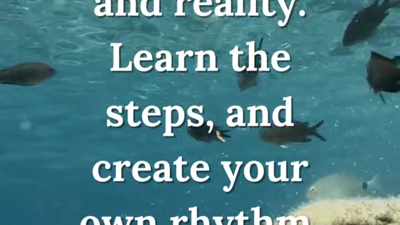 Dreams vs Reality: Finding Your Rhythm