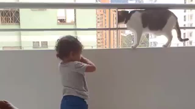 The cat saved the little baby