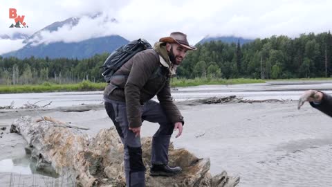 Bald Eagle Adventure