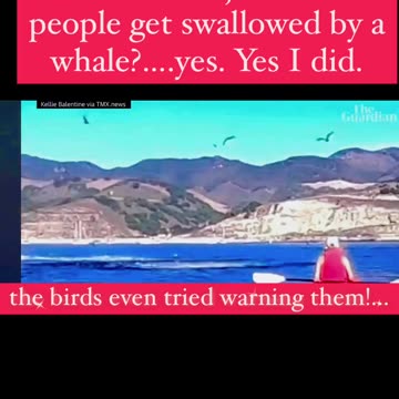 People swallowed by Whale