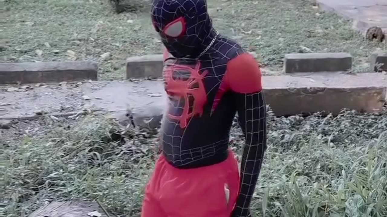 Funny Spider-Man