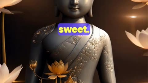 Gautam Buddha's Wonderful Teachings, Which Will Change Your Entire Life 🔥🔥🔥